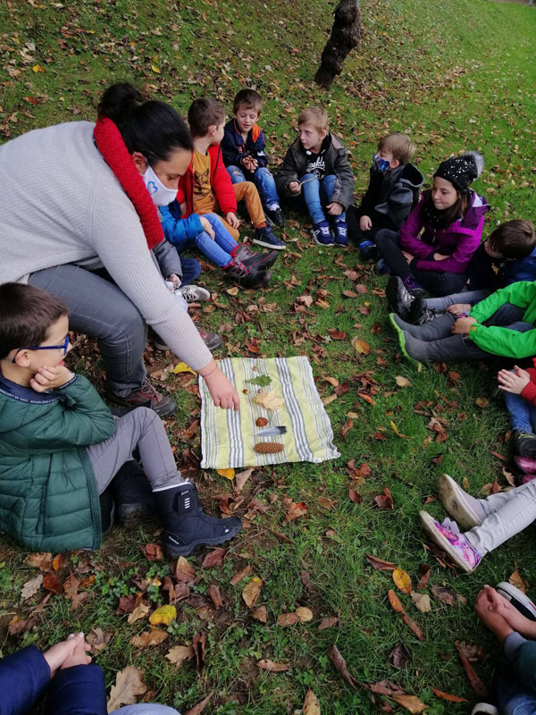 %C3%A9veil %C3%A9veil